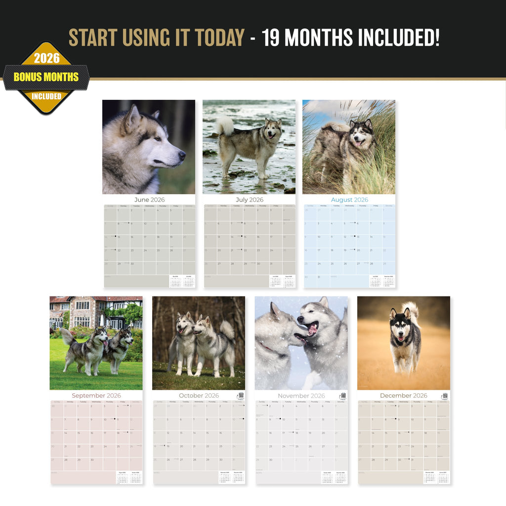 Alaskan Malamute Wall Calendar 2027 - 12" x 12" Monthly Arctic Sled Dog & Working Breed Calendar