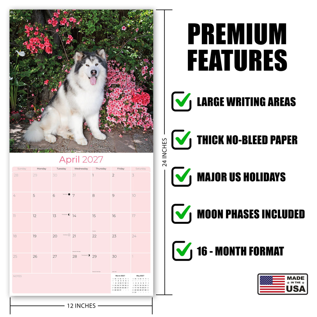 Alaskan Malamute Wall Calendar 2027 - 12" x 12" Monthly Arctic Sled Dog & Working Breed Calendar