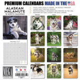 Alaskan Malamute Wall Calendar 2027 - 12" x 12" Monthly Arctic Sled Dog & Working Breed Calendar