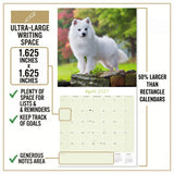 American Eskimo Dog Wall Calendar 2027 - 12" x 12" Monthly Spitz Breed & White Eskie Dog Calendar