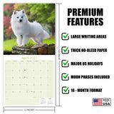 American Eskimo Dog Wall Calendar 2027 - 12" x 12" Monthly Spitz Breed & White Eskie Dog Calendar