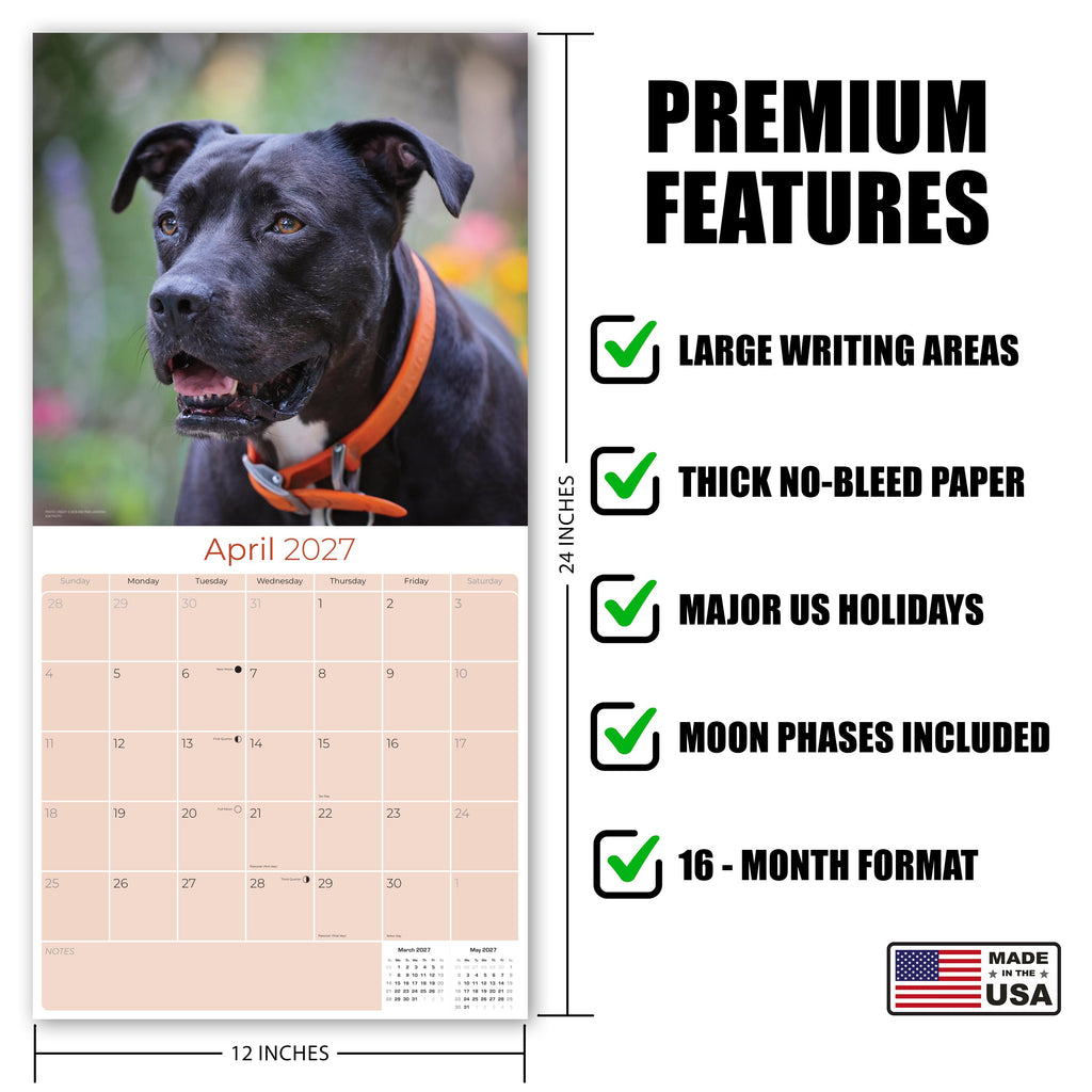 American Pit Bull Terrier Wall Calendar 2027 - 12" x 12" Monthly Athletic & Devoted Pitbull Breed Calendar