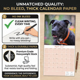 American Pit Bull Terrier Wall Calendar 2027 - 12" x 12" Monthly Athletic & Devoted Pitbull Breed Calendar