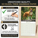 American Staffordshire Terrier Wall Calendar 2027 - 12" x 12" Monthly Strong & Confident AmStaff Breed Calendar