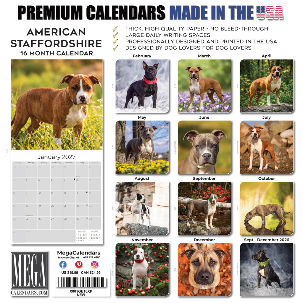 American Staffordshire Terrier Wall Calendar 2027 - 12" x 12" Monthly Strong & Confident AmStaff Breed Calendar