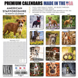 American Staffordshire Terrier Wall Calendar 2027 - 12" x 12" Monthly Strong & Confident AmStaff Breed Calendar