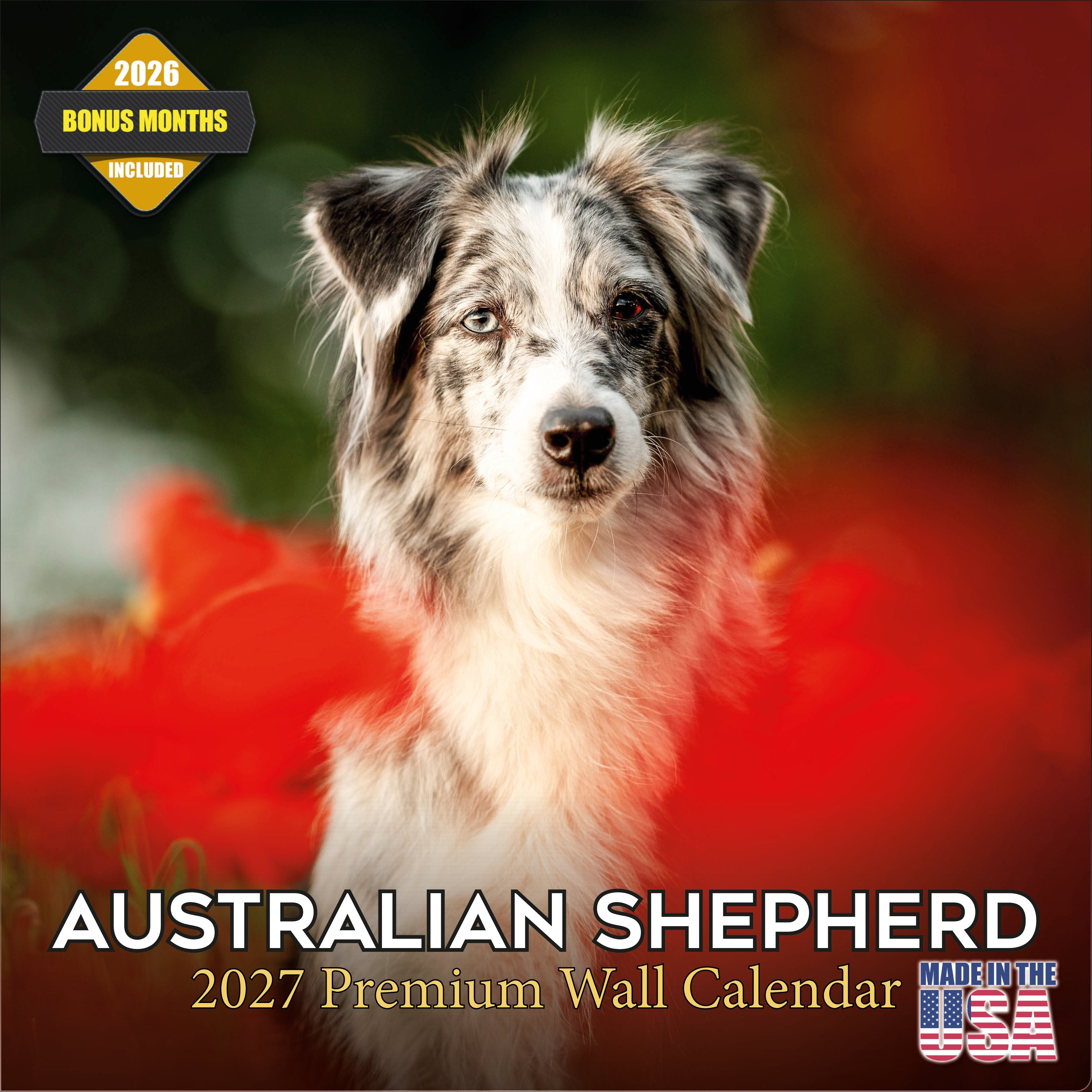 Australian Shepherd Wall Calendar 2027 - 12