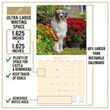 Australian Shepherd Wall Calendar 2027 - 12" x 12" Monthly Intelligent & Agile Herding Dog Calendar