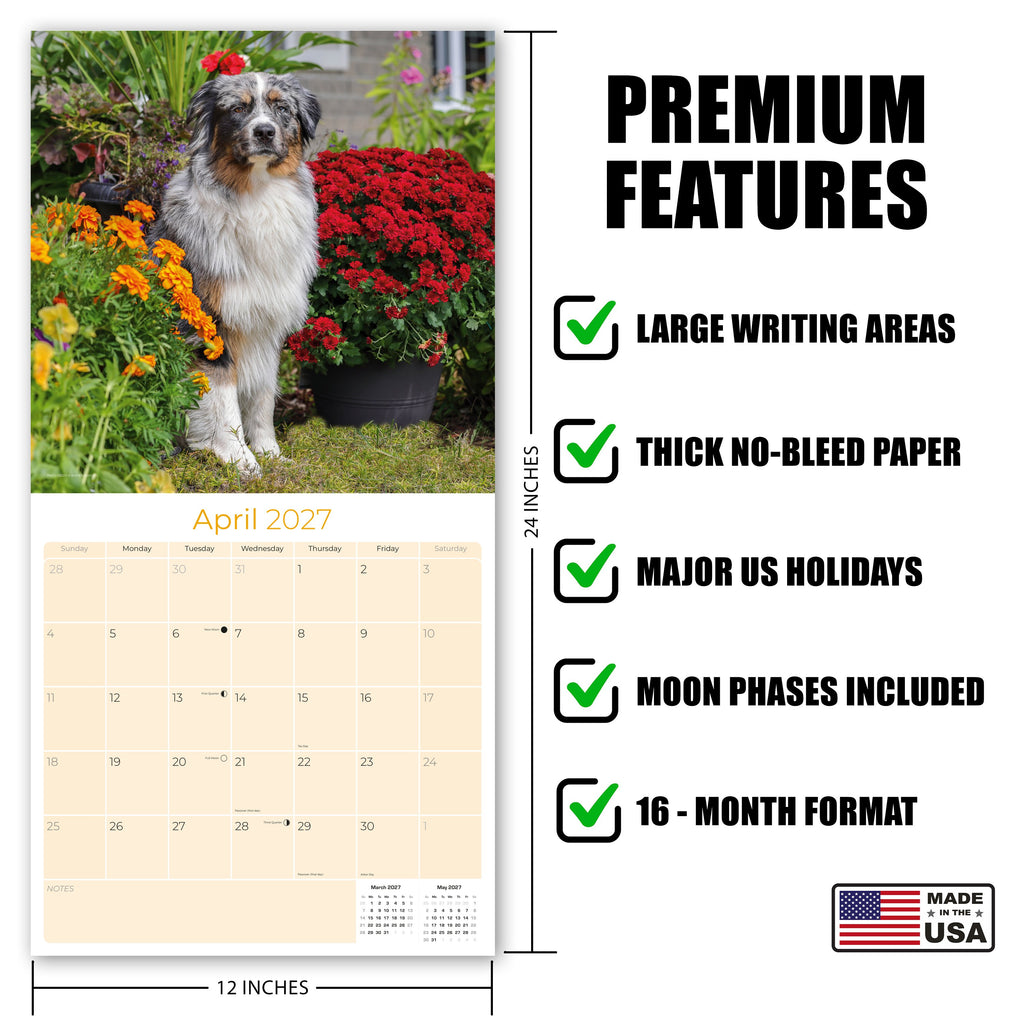 Australian Shepherd Wall Calendar 2027 - 12" x 12" Monthly Intelligent & Agile Herding Dog Calendar