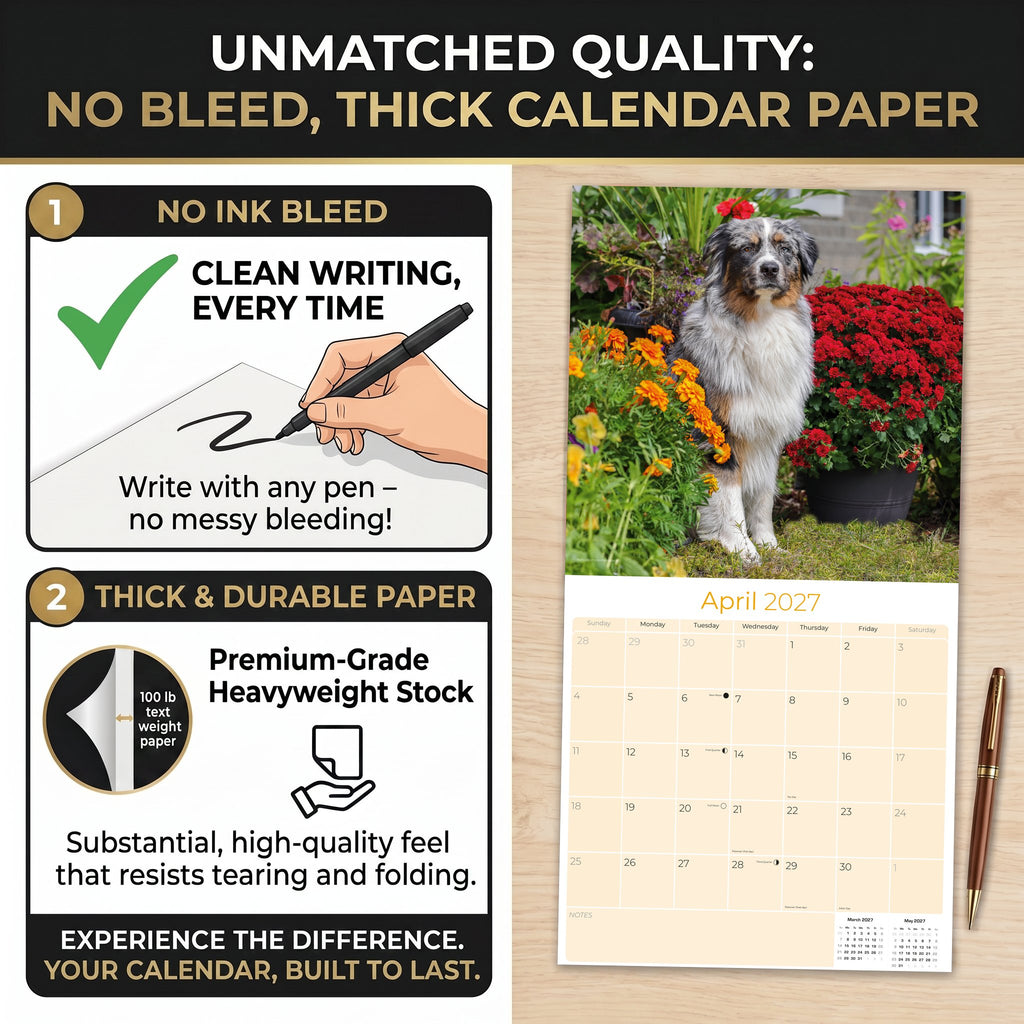 Australian Shepherd Wall Calendar 2027 - 12" x 12" Monthly Intelligent & Agile Herding Dog Calendar