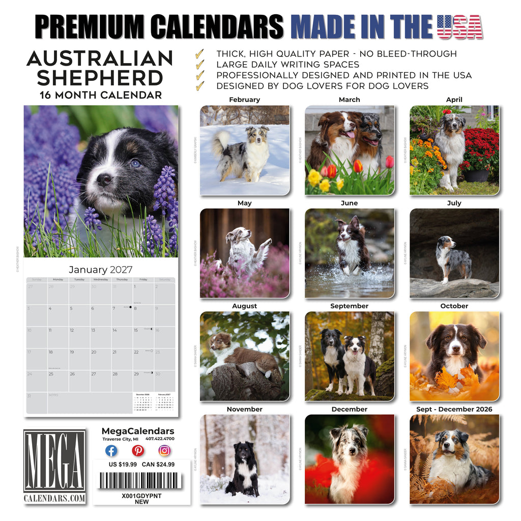 Australian Shepherd Wall Calendar 2027 - 12" x 12" Monthly Intelligent & Agile Herding Dog Calendar