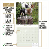Basenji Wall Calendar 2027 - 12" x 12" Monthly Independent & Alert Barkless Hound Dog Calendar