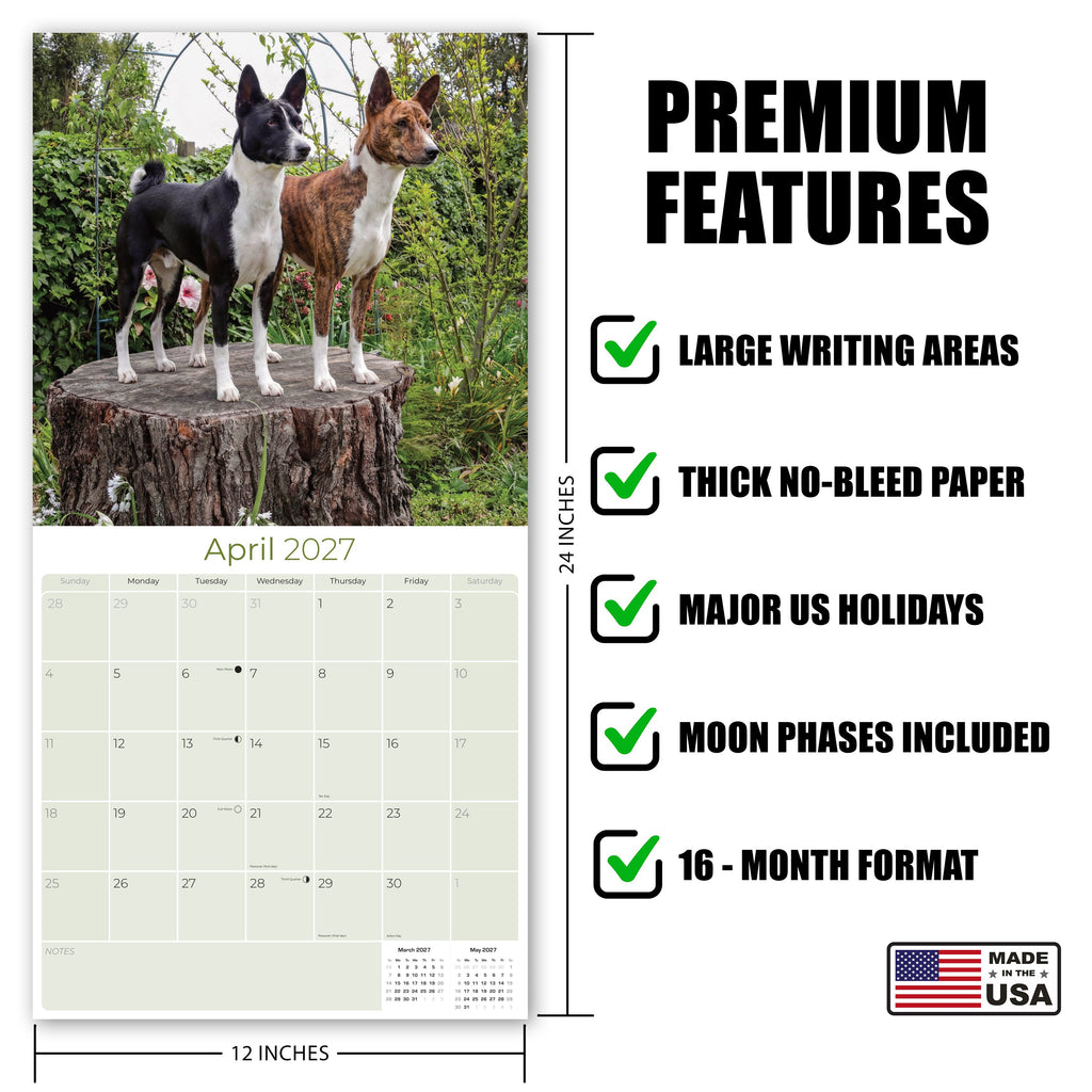 Basenji Wall Calendar 2027 - 12" x 12" Monthly Independent & Alert Barkless Hound Dog Calendar