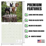 Basenji Wall Calendar 2027 - 12" x 12" Monthly Independent & Alert Barkless Hound Dog Calendar