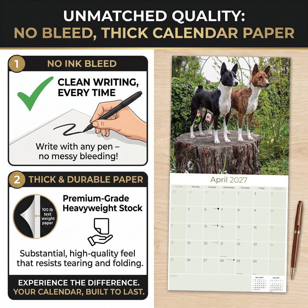 Basenji Wall Calendar 2027 - 12" x 12" Monthly Independent & Alert Barkless Hound Dog Calendar