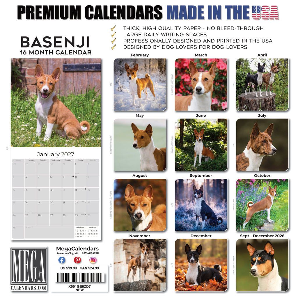 Basenji Wall Calendar 2027 - 12" x 12" Monthly Independent & Alert Barkless Hound Dog Calendar