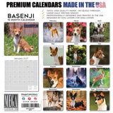 Basenji Wall Calendar 2027 - 12" x 12" Monthly Independent & Alert Barkless Hound Dog Calendar