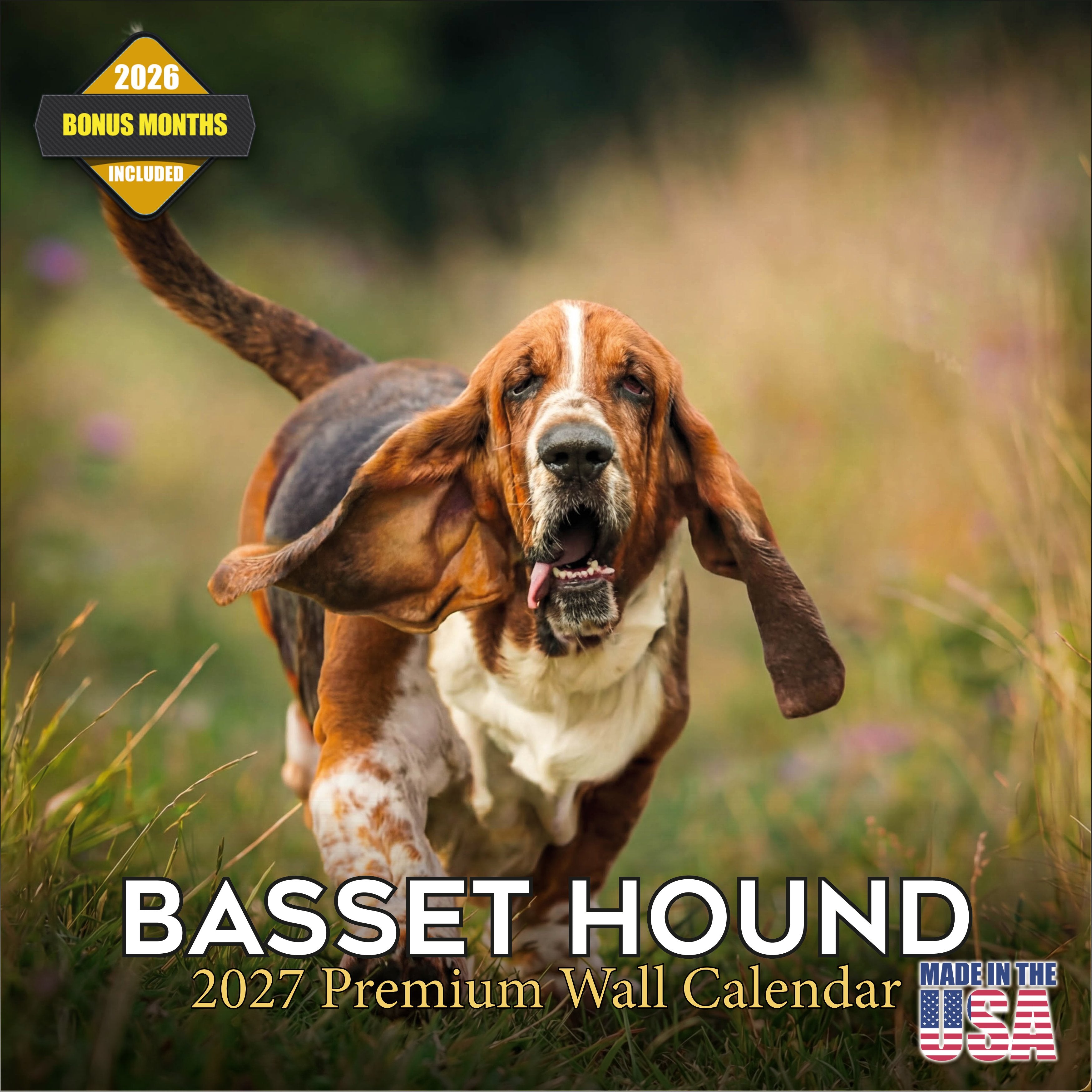 Basset Hound Wall Calendar 2027 - 12
