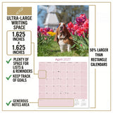 Basset Hound Wall Calendar 2027 - 12" x 12" Monthly Gentle & Long-Eared Scent Hound Calendar