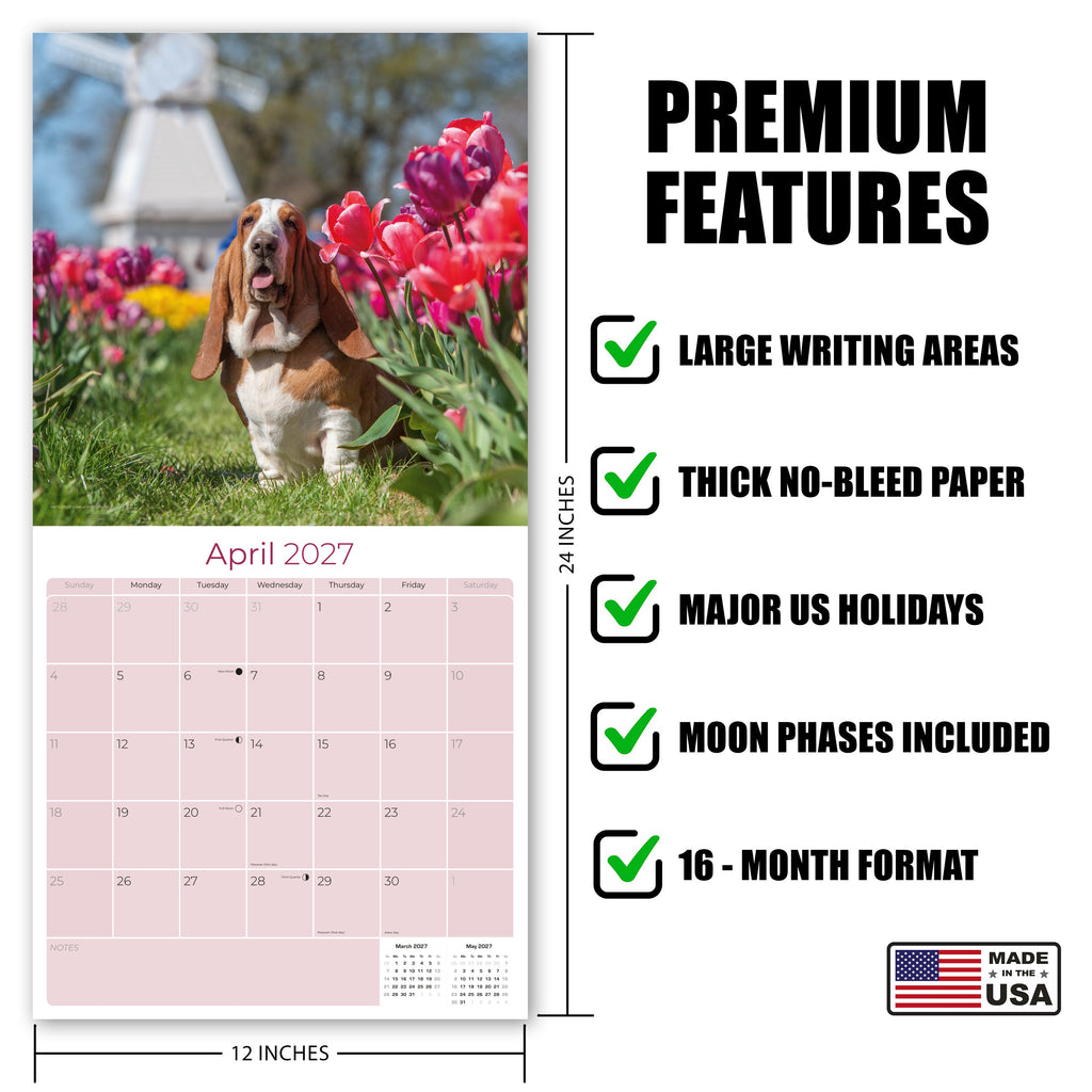 Basset Hound Wall Calendar 2027 - 12" x 12" Monthly Gentle & Long-Eared Scent Hound Calendar