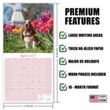 Basset Hound Wall Calendar 2027 - 12" x 12" Monthly Gentle & Long-Eared Scent Hound Calendar