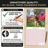 Basset Hound Wall Calendar 2027 - 12" x 12" Monthly Gentle & Long-Eared Scent Hound Calendar