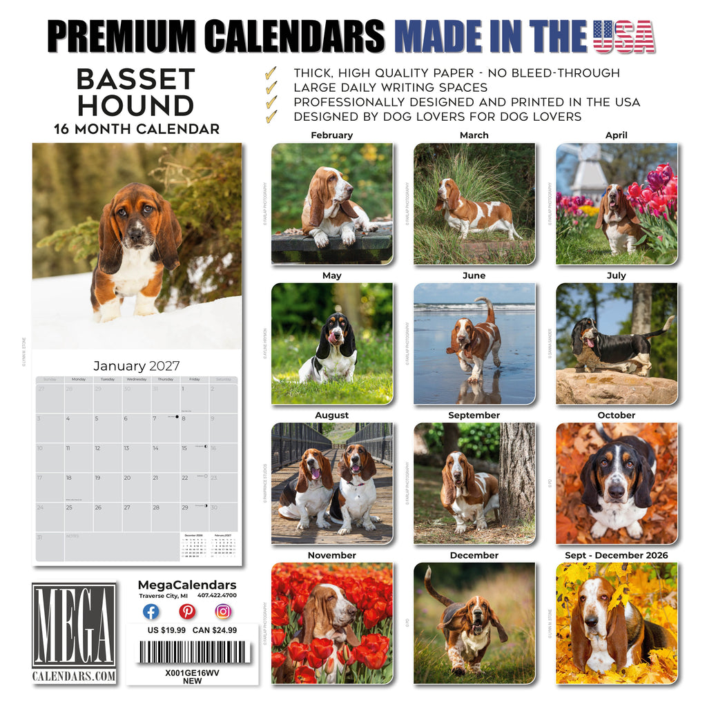Basset Hound Wall Calendar 2027 - 12" x 12" Monthly Gentle & Long-Eared Scent Hound Calendar