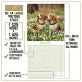 Beagle Wall Calendar 2027 - 12" x 12" Monthly Merry & Curious Scent Hound Dog Calendar