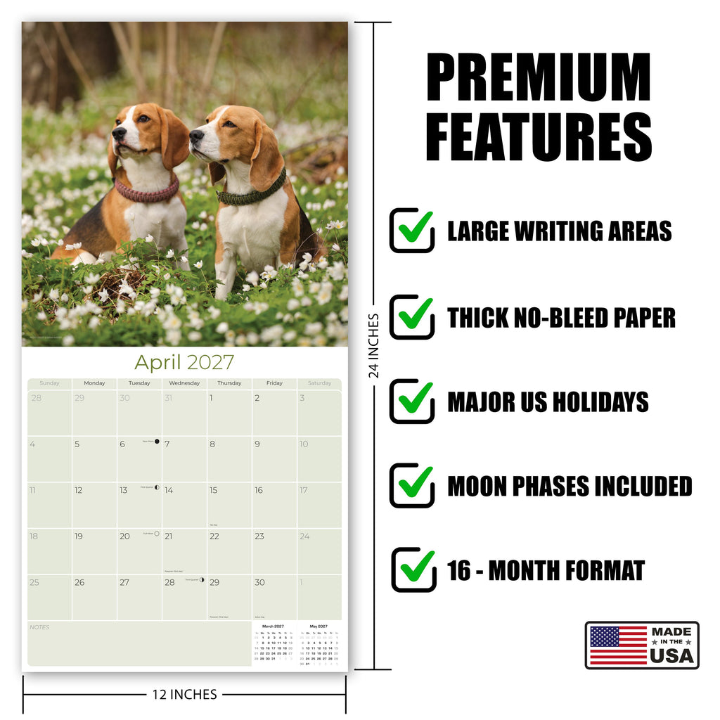 Beagle Wall Calendar 2027 - 12" x 12" Monthly Merry & Curious Scent Hound Dog Calendar