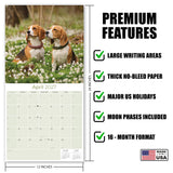 Beagle Wall Calendar 2027 - 12" x 12" Monthly Merry & Curious Scent Hound Dog Calendar