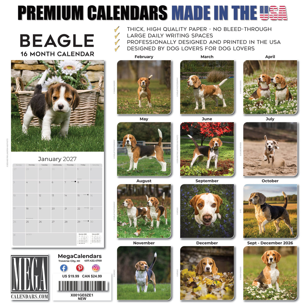 Beagle Wall Calendar 2027 - 12" x 12" Monthly Merry & Curious Scent Hound Dog Calendar