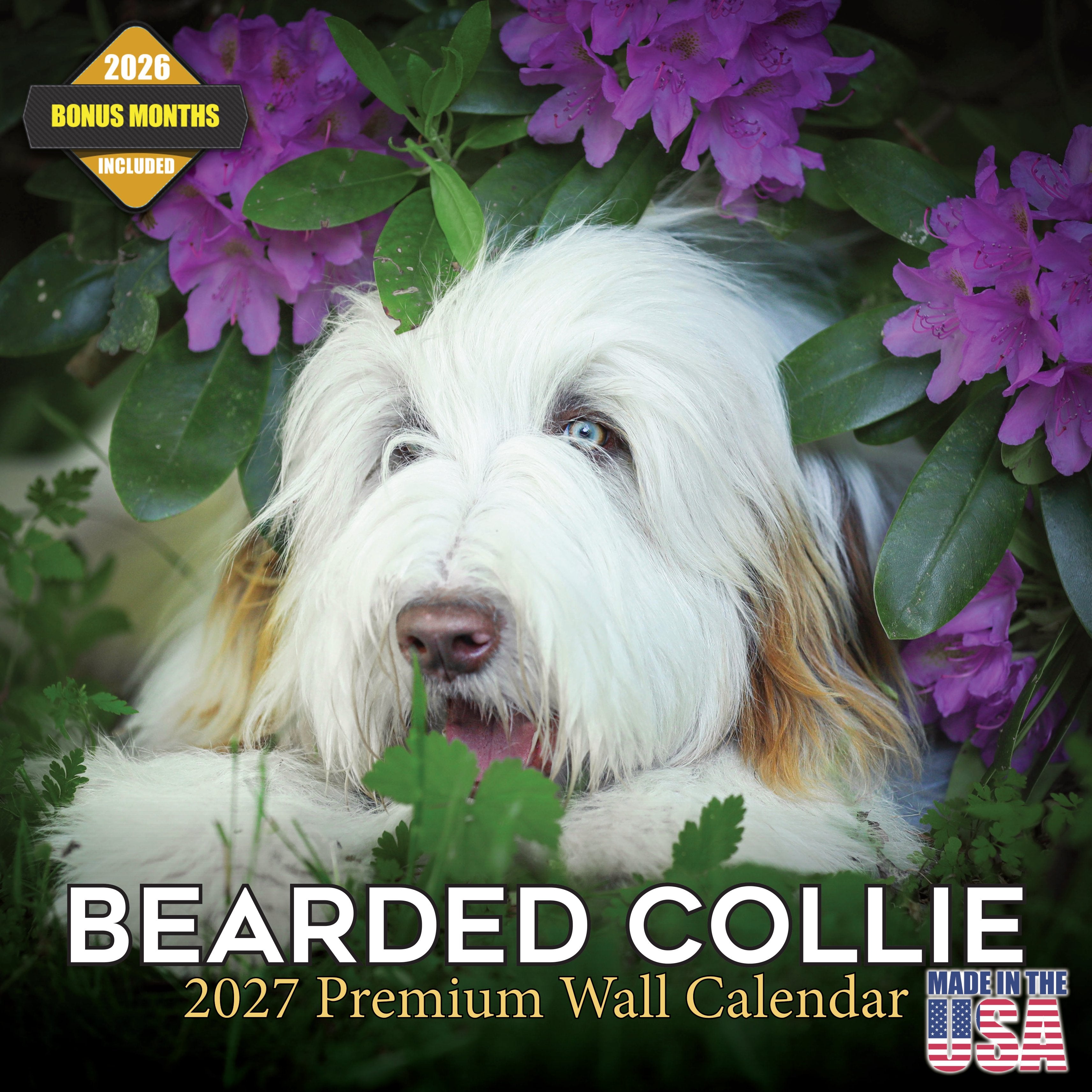 Bearded Collie Wall Calendar 2027 - 12
