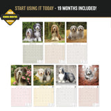 Bearded Collie Wall Calendar 2027 - 12" x 12" Monthly Bouncy Shaggy Herding Dog Calendar
