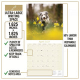 Bearded Collie Wall Calendar 2027 - 12" x 12" Monthly Bouncy Shaggy Herding Dog Calendar