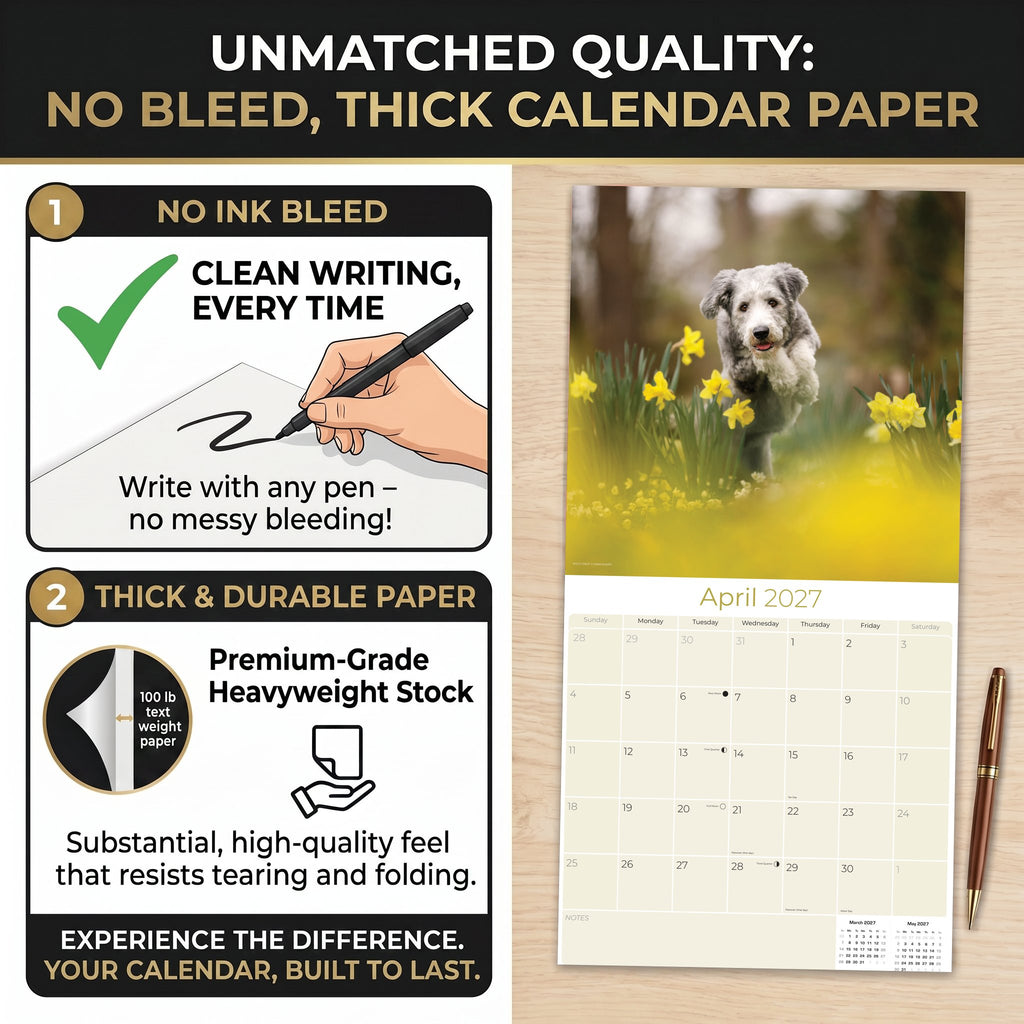 Bearded Collie Wall Calendar 2027 - 12" x 12" Monthly Bouncy Shaggy Herding Dog Calendar