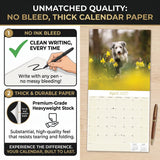 Bearded Collie Wall Calendar 2027 - 12" x 12" Monthly Bouncy Shaggy Herding Dog Calendar
