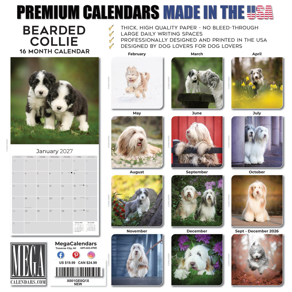 Bearded Collie Wall Calendar 2027 - 12" x 12" Monthly Bouncy Shaggy Herding Dog Calendar
