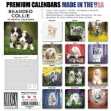 Bearded Collie Wall Calendar 2027 - 12" x 12" Monthly Bouncy Shaggy Herding Dog Calendar