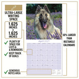 Belgian Shepherd Dog Wall Calendar 2027 - 12" x 12" Monthly Noble & Versatile Herding Working Dog Calendar