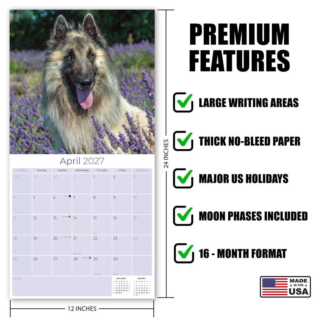 Belgian Shepherd Dog Wall Calendar 2027 - 12" x 12" Monthly Noble & Versatile Herding Working Dog Calendar