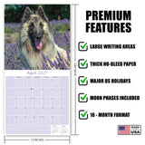 Belgian Shepherd Dog Wall Calendar 2027 - 12" x 12" Monthly Noble & Versatile Herding Working Dog Calendar