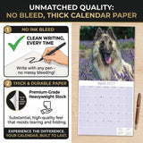 Belgian Shepherd Dog Wall Calendar 2027 - 12" x 12" Monthly Noble & Versatile Herding Working Dog Calendar