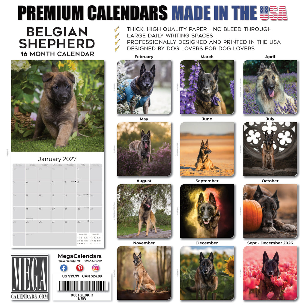 Belgian Shepherd Dog Wall Calendar 2027 - 12" x 12" Monthly Noble & Versatile Herding Working Dog Calendar