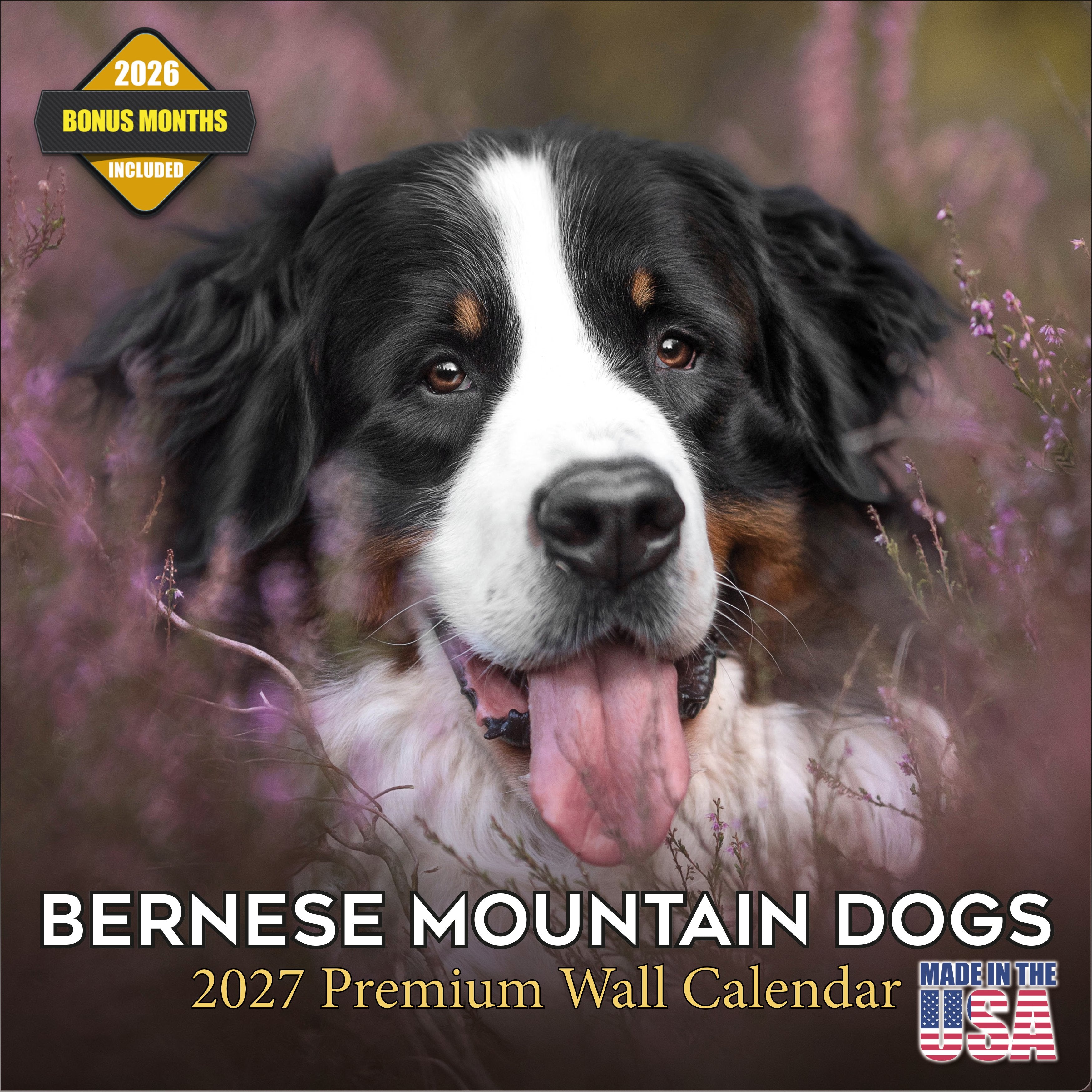Bernese Mountain Dog Wall Calendar 2027 - 12