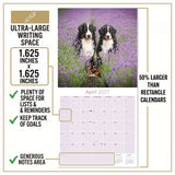 Bernese Mountain Dog Wall Calendar 2027 - 12" x 12" Monthly Gentle Working Alpine Giant Breed Calendar