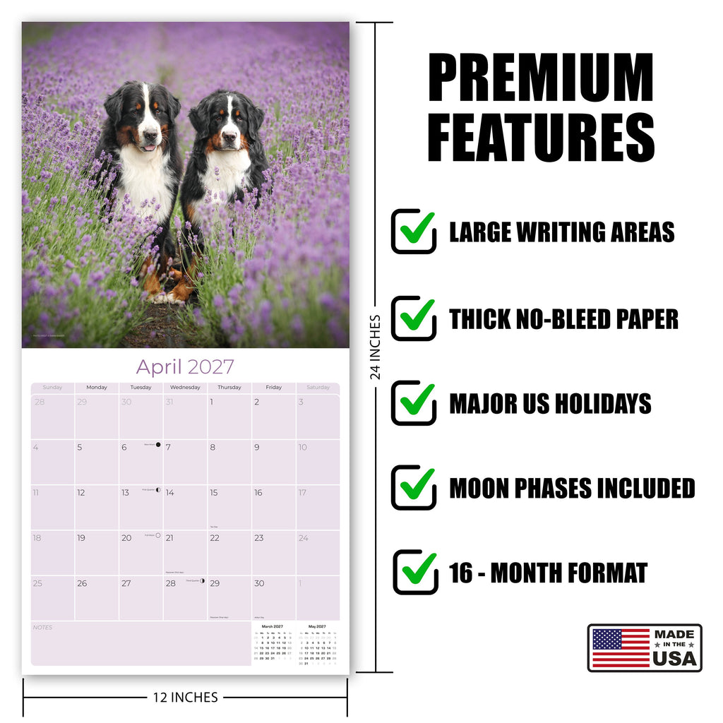 Bernese Mountain Dog Wall Calendar 2027 - 12" x 12" Monthly Gentle Working Alpine Giant Breed Calendar
