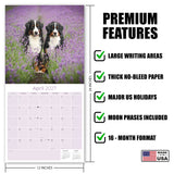 Bernese Mountain Dog Wall Calendar 2027 - 12" x 12" Monthly Gentle Working Alpine Giant Breed Calendar
