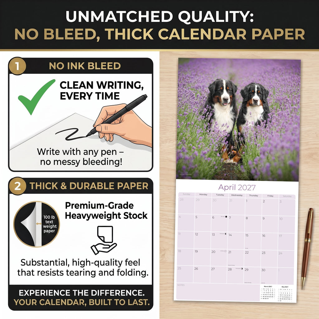Bernese Mountain Dog Wall Calendar 2027 - 12" x 12" Monthly Gentle Working Alpine Giant Breed Calendar