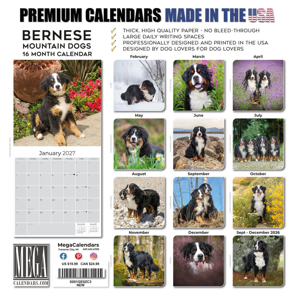 Bernese Mountain Dog Wall Calendar 2027 - 12" x 12" Monthly Gentle Working Alpine Giant Breed Calendar