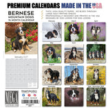 Bernese Mountain Dog Wall Calendar 2027 - 12" x 12" Monthly Gentle Working Alpine Giant Breed Calendar
